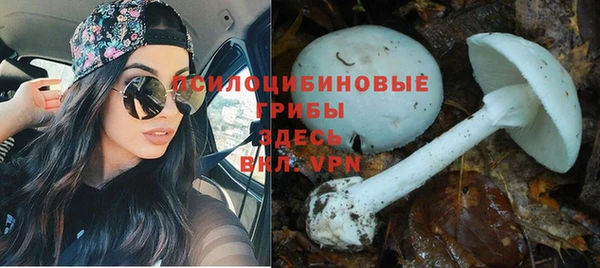 ешки Абинск