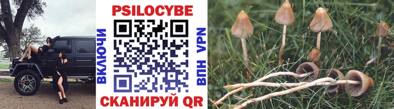 Псилоцибиновые грибы мухоморы  Ухта 