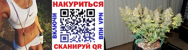 наркотики  Ухта  Марихуана планчик 
